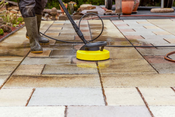 Best Fence Cleaning  in Two Harbors, MN