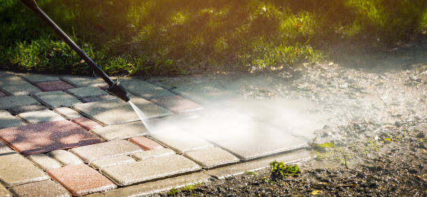 Animal Enclosure Cleaning in Two Harbors, MN